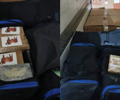 جمارك وأمن ميناء طنجة المتوسط يحبطان تهريب أزيد من 112 كيلوغراماً من الكوكايين على متن شاحنة أدوية
